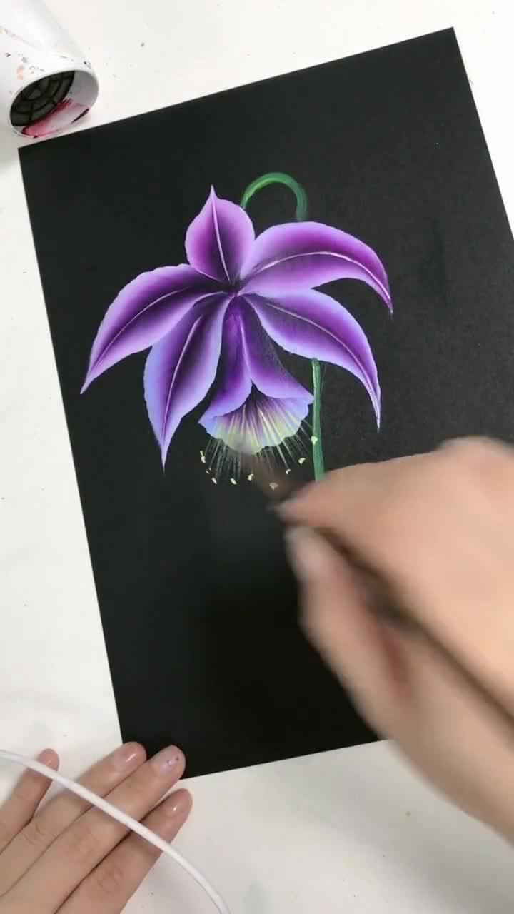 排笔简易画不知名小花.不惊扰别人的宁静,就是慈悲