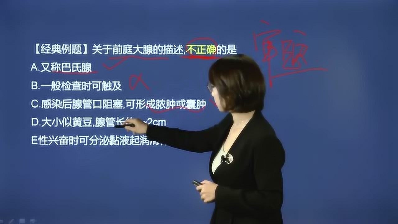 女性外生殖器特点