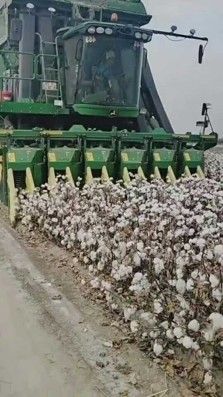 收棉花,收棉花_腾讯视频