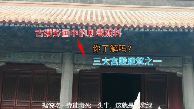 四大古建群内三大宫殿之一,百年木结构不被虫蛀,为什么?