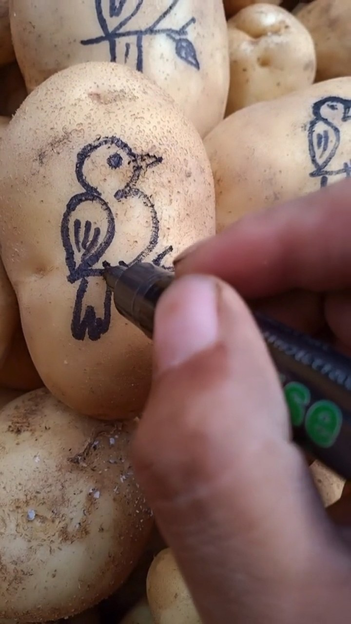 土豆卖不动了,画个鸟会不会好卖一些