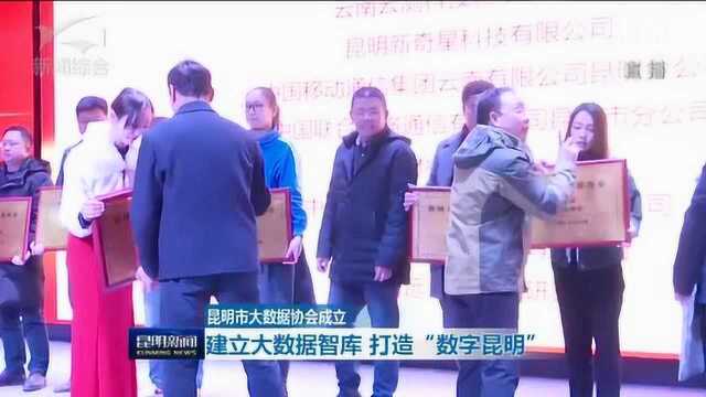 昆明市大数据协会成立 建立大数据智库 打造“数字昆明”