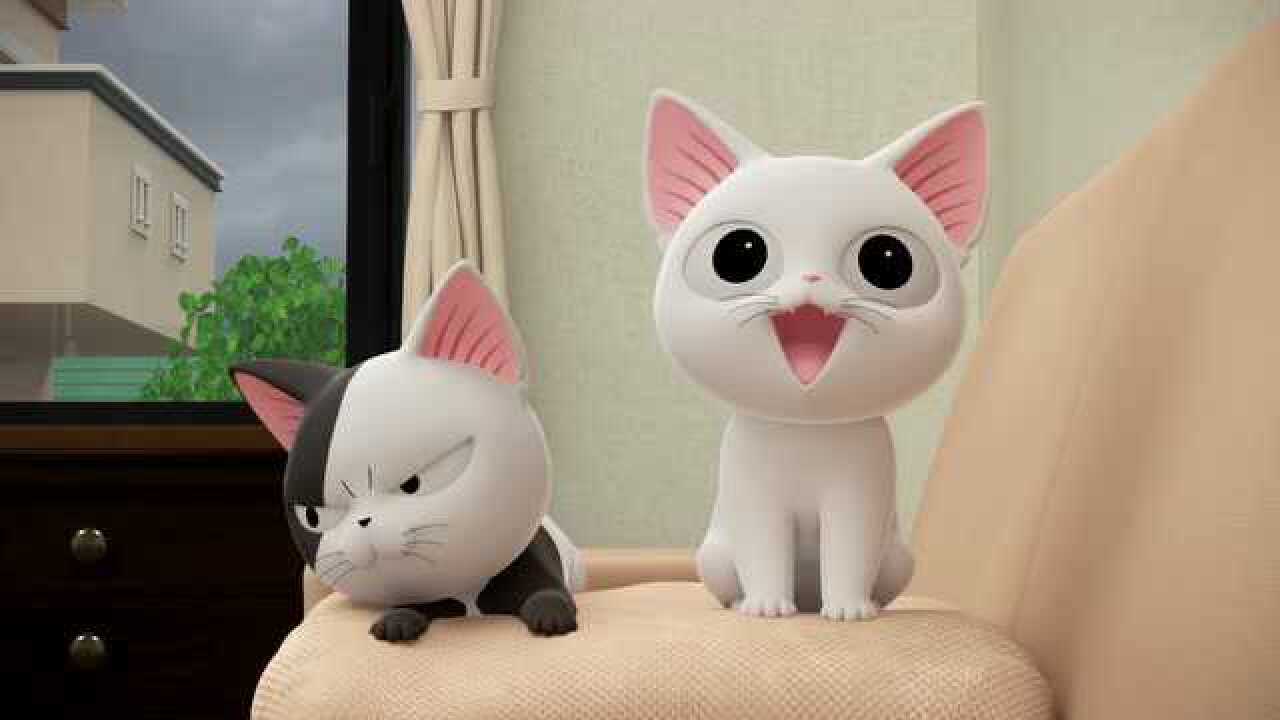 甜甜私房猫:小白白非常的开心哦