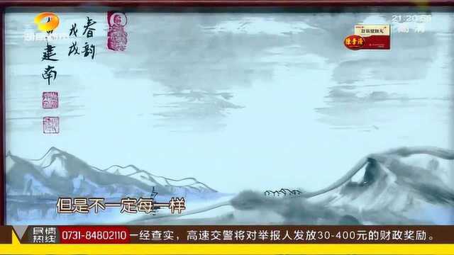 一级美术师临湖南 国画艺术走出国 黄建南:我和湖南很有缘