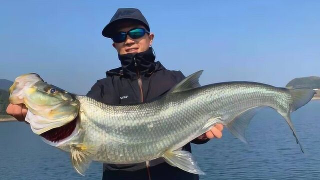 ewe路亚丨翘嘴大爆发,杨博再擒米级!