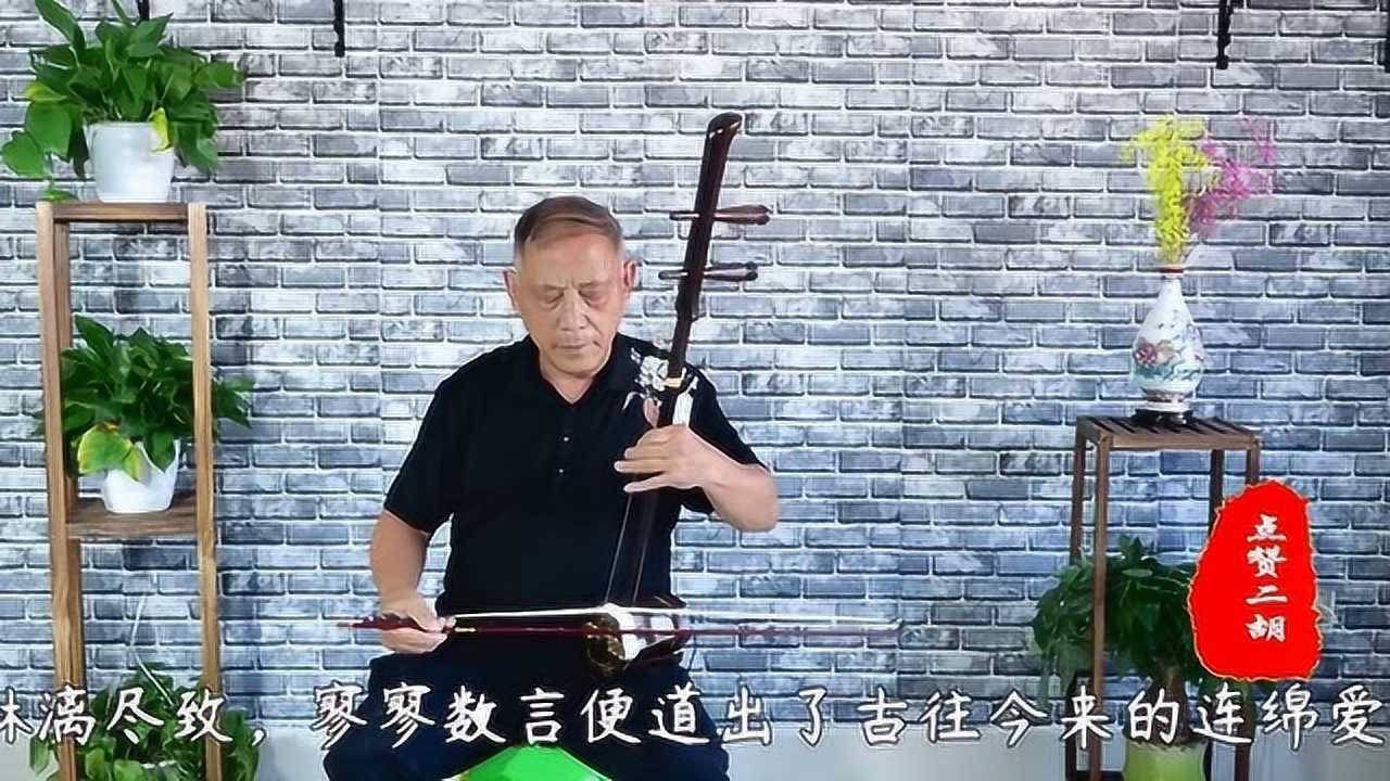 经典老歌三寸天堂二胡演奏