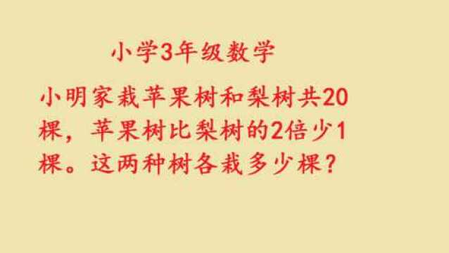 小学数学三年级小课堂,苹果树比梨树的2倍少1棵,求两种树的数量