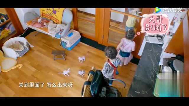 妈妈是超人!家里来了小朋友!嗯哼!嗯老师幼儿园开业