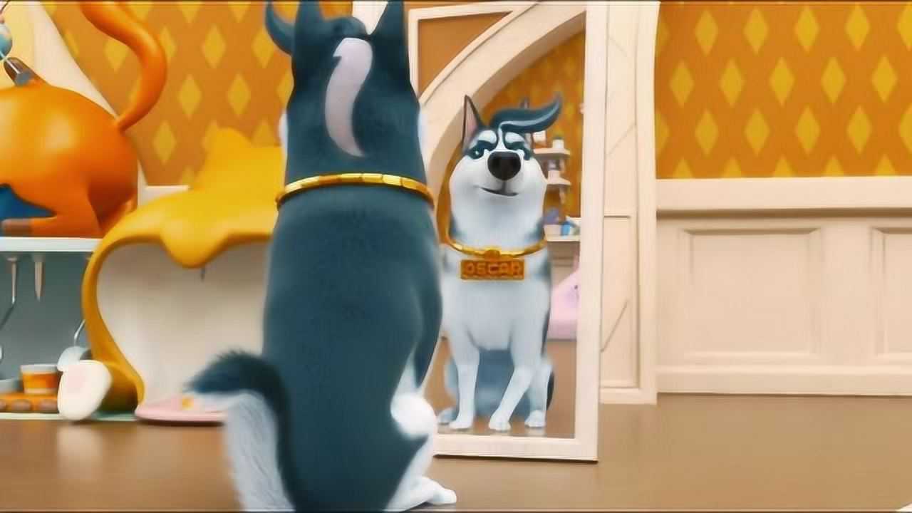 飞狗mocomoco将奥斯卡的发型弄成这样察觉不对劲立马跑