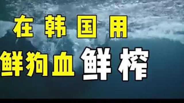 《皇后的品格》:2018年度最狗血神剧,没有之一!