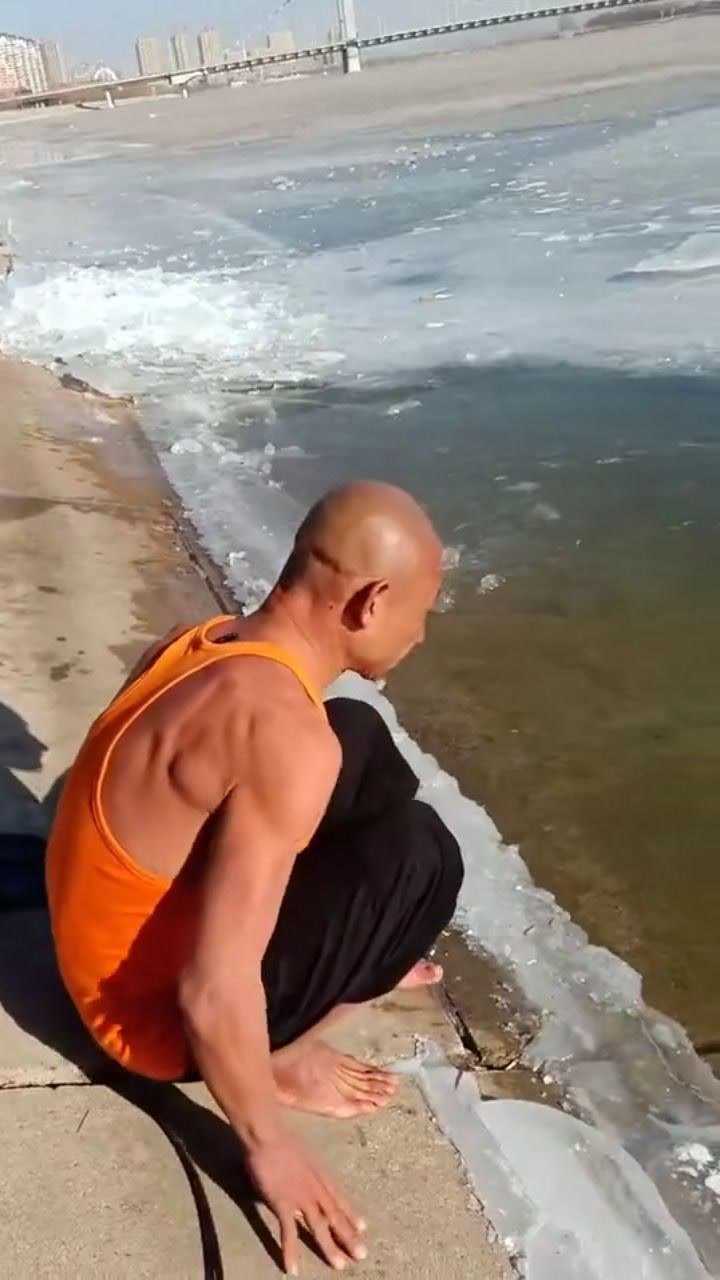 我的偶像冬泳怪鸽