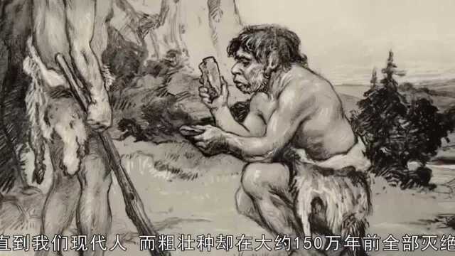 人类的祖先“古猿”,到底长什么样?科学家:看南方古猿就明白了