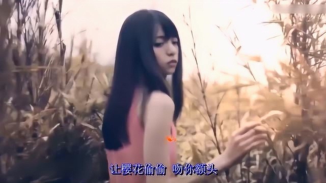 零距离音乐优盘MV试听