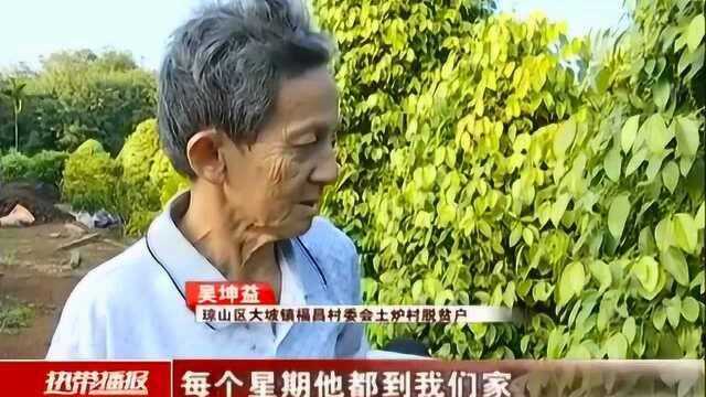 大力发展胡椒产业 脱贫户腰包“鼓”起来