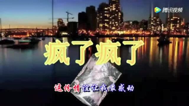 一首火爆网络神曲《疯了疯了》疯了疯了全疯了