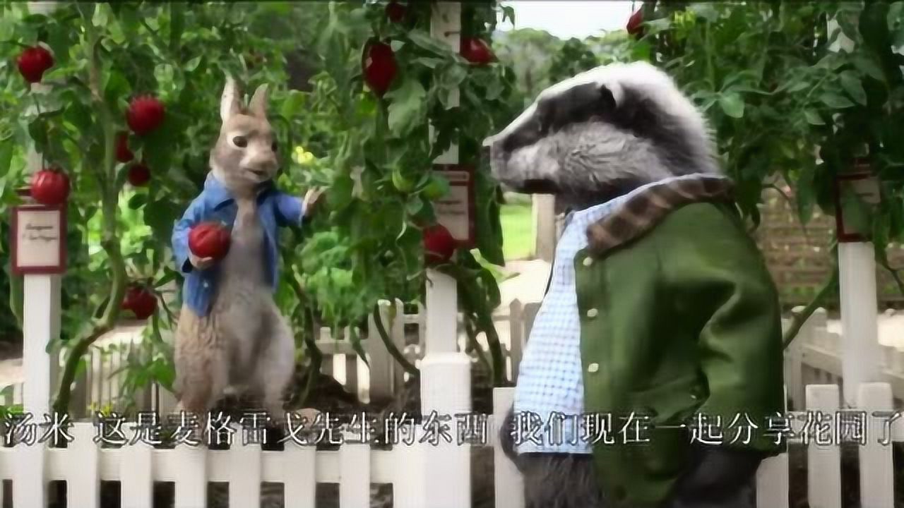 比得兔2逃跑计划曝城市探险预告超级萌兔开启城市冒险