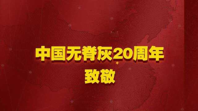 向生命致敬 向中国持续无脊灰20年致敬