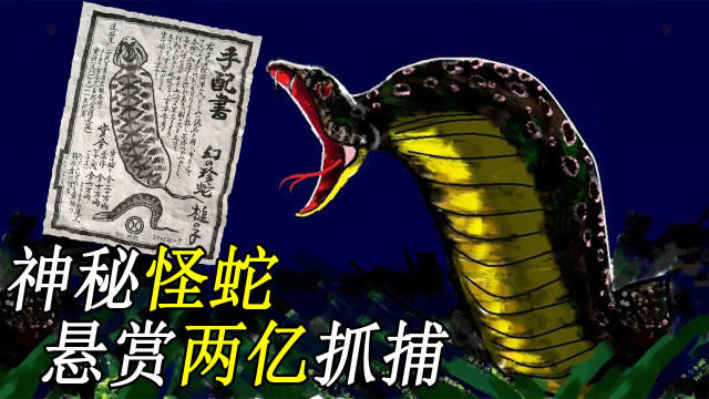 【未知系列04】神秘生物野槌蛇,日本悬赏两亿日元抓捕