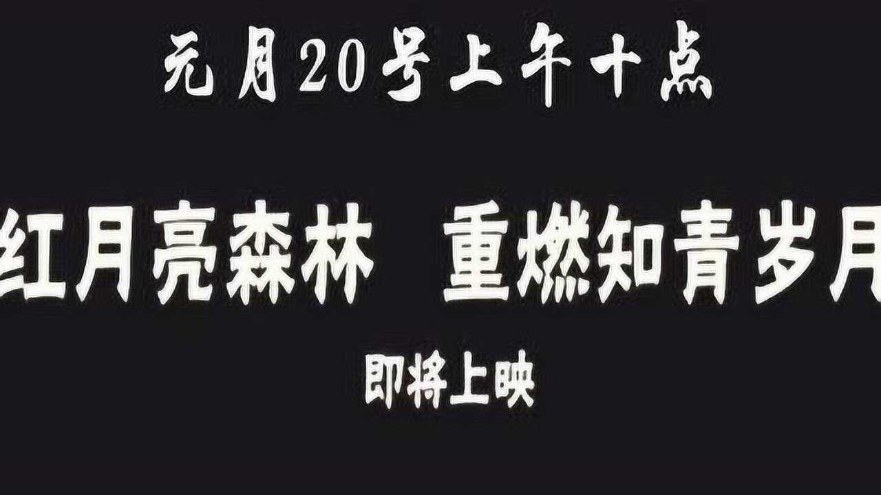 电影《红月亮森林》