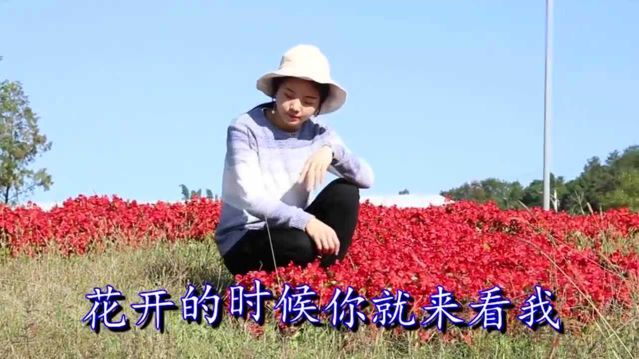 dj版花开的时候你就来看我热情似火情深意浓听过都说好