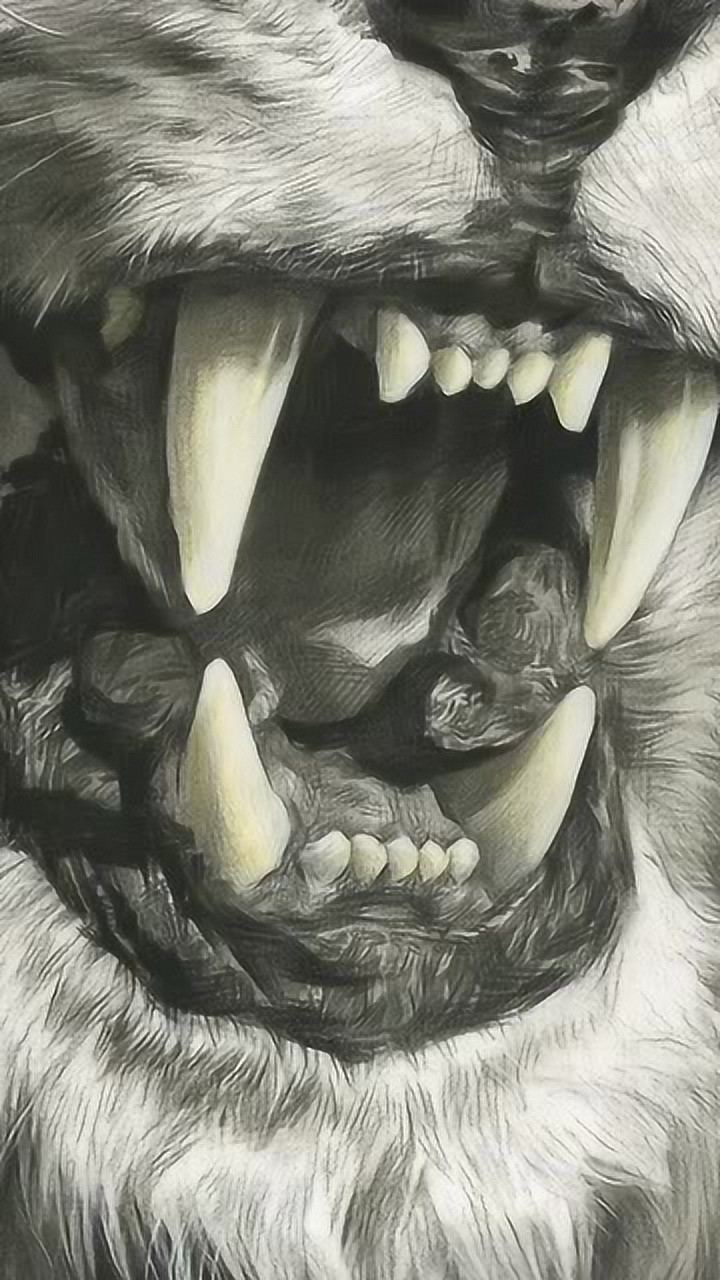 刘斌老师精微动物素描狮子王领画全过程刘斌素描超写实特训营