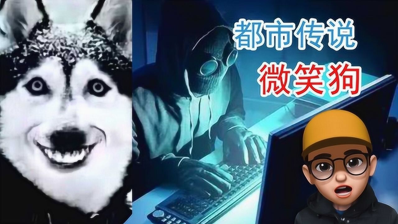 你知道微笑狗的真相吗一张令人毛骨悚然的图片