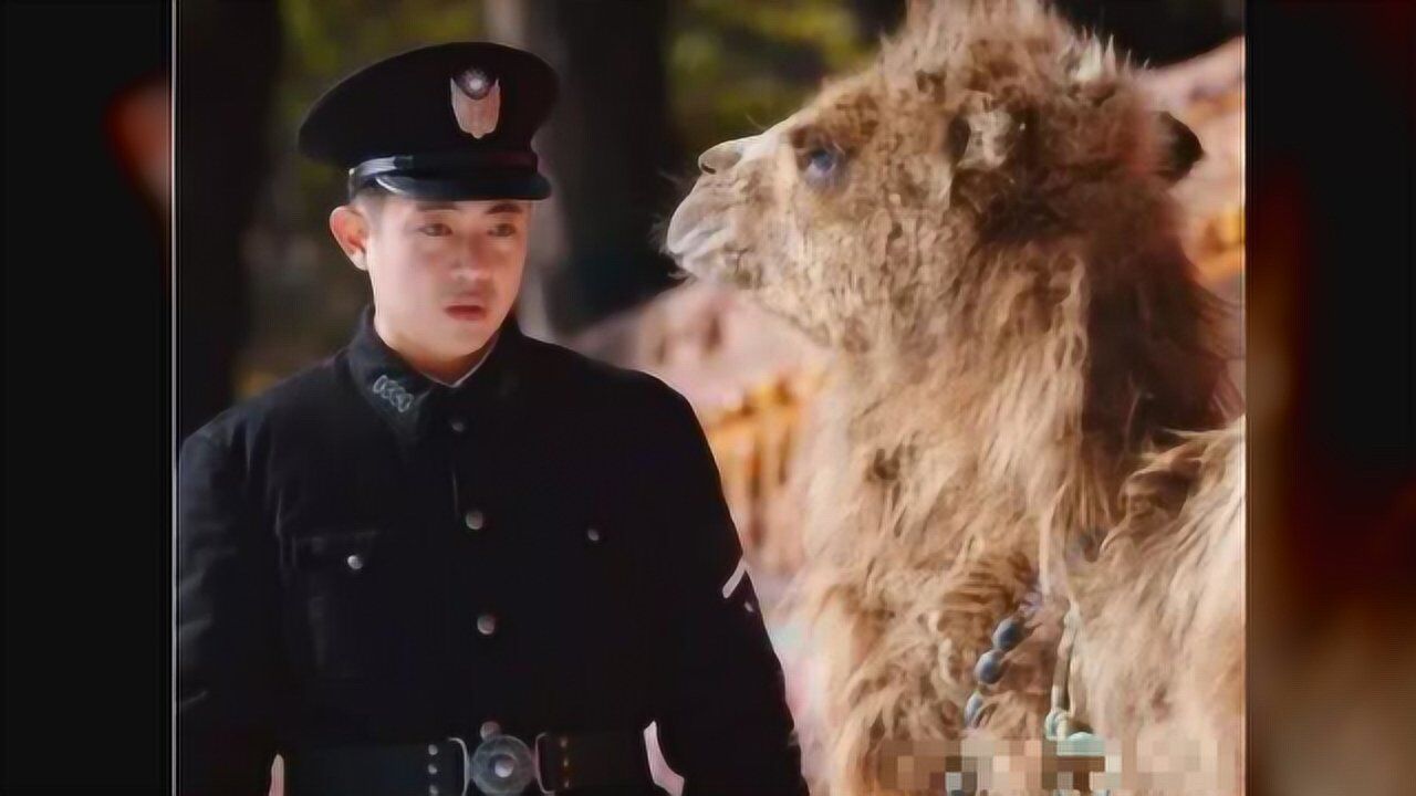 《新世界》无论万茜还是洪洋,告诉你"十七"是小红袄的都是骗子