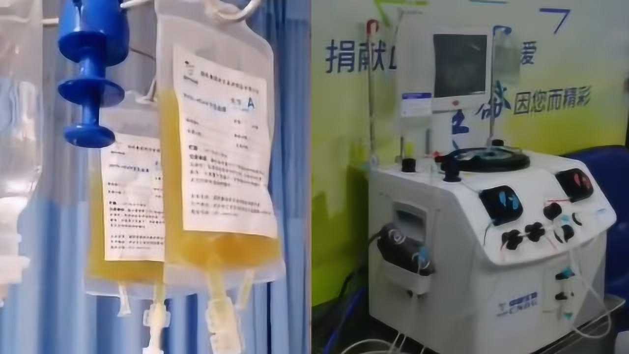 新冠肺炎康复患者献血浆，采血点负责人：捐献血浆对人体无害_腾讯视频