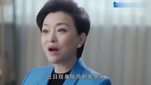 前央视美女主持杨澜近照曝光,却无意暴露,私下生活现状