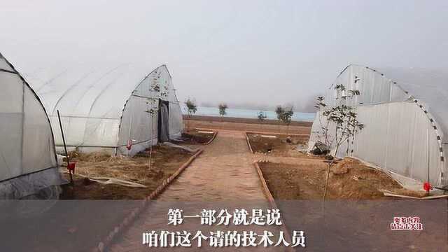 厉害了,寿光农技员防治灰霉病的绝招,竟是一把土,快学学吧