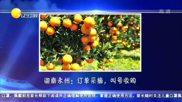 防控疫情果蔬销售有办法:指定地点无接触收购,电商实体加同城配送