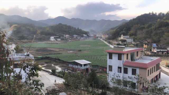 广东梅州,简单真实的农村场景,你愿意住这里吗?