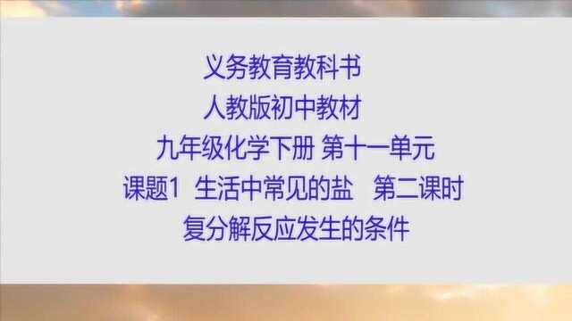 人教版 初中九年级化学下册 第十一单元课题1 生活中常见的盐 第二课时