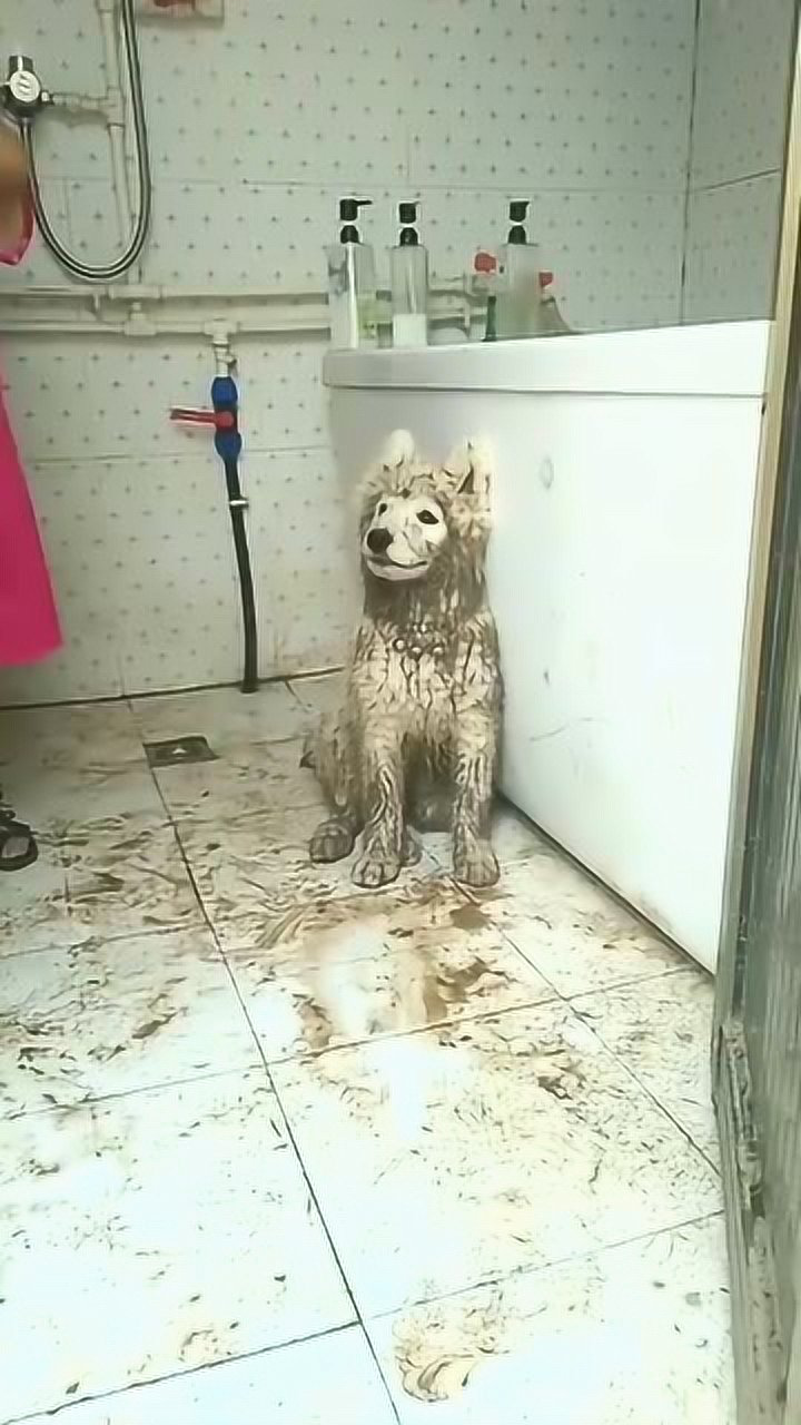 你也太埋汰了,真想把你炖了