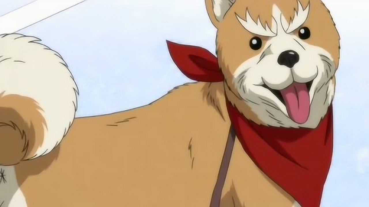 织田肉桂信长:一看就知道是个老绅士了