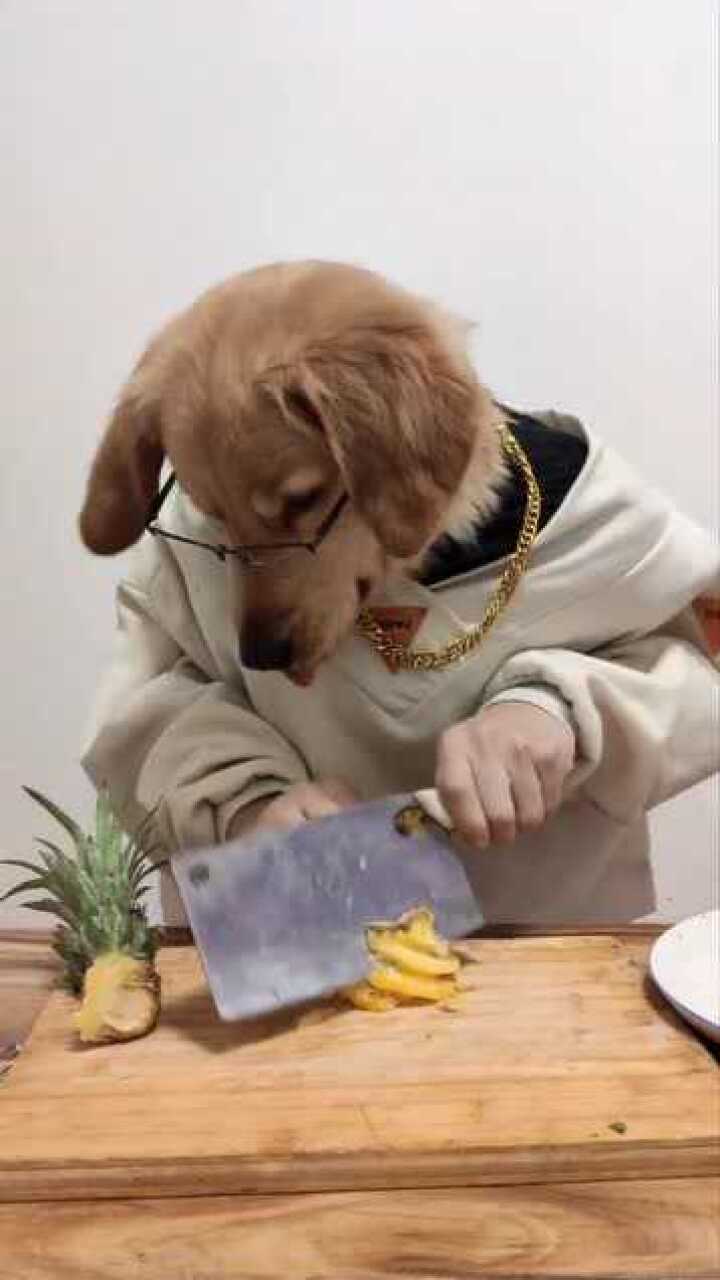 今天狗头先生想吃菠萝无论吃什么都喜欢切片快来尝尝吧