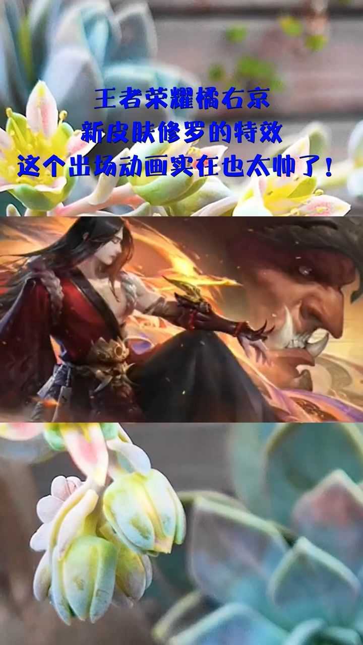 王者荣耀橘右京新皮肤修罗的特效这个出场动画实在也太帅了