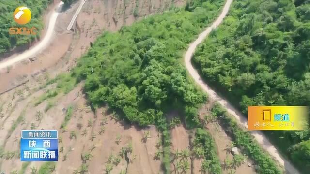 【决战决胜脱贫攻坚】汉中南郑:打造山区特色产业 让群众在产业链上增收