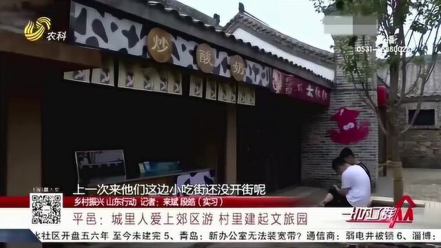 平邑:村里建起文旅园 因地制宜打造“美食村” 带动农业农村发展