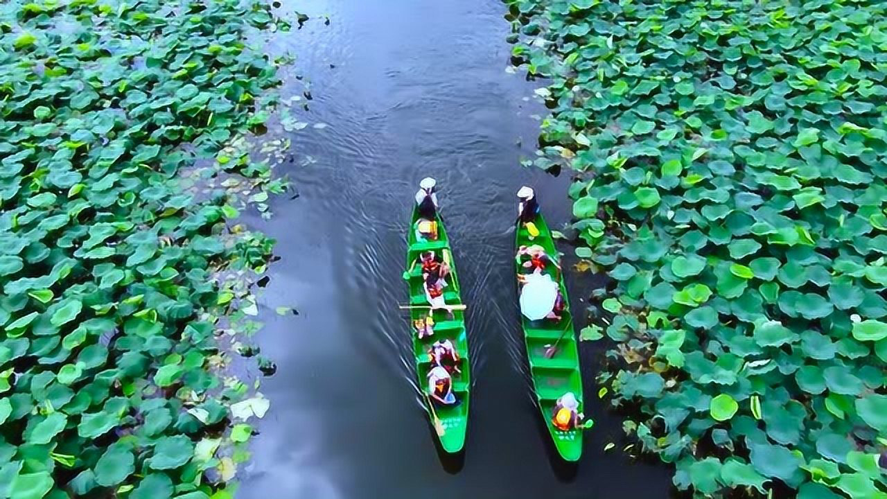 雲南夏日最美的地方普者黑在流動的山水畫中賞荷打水仗