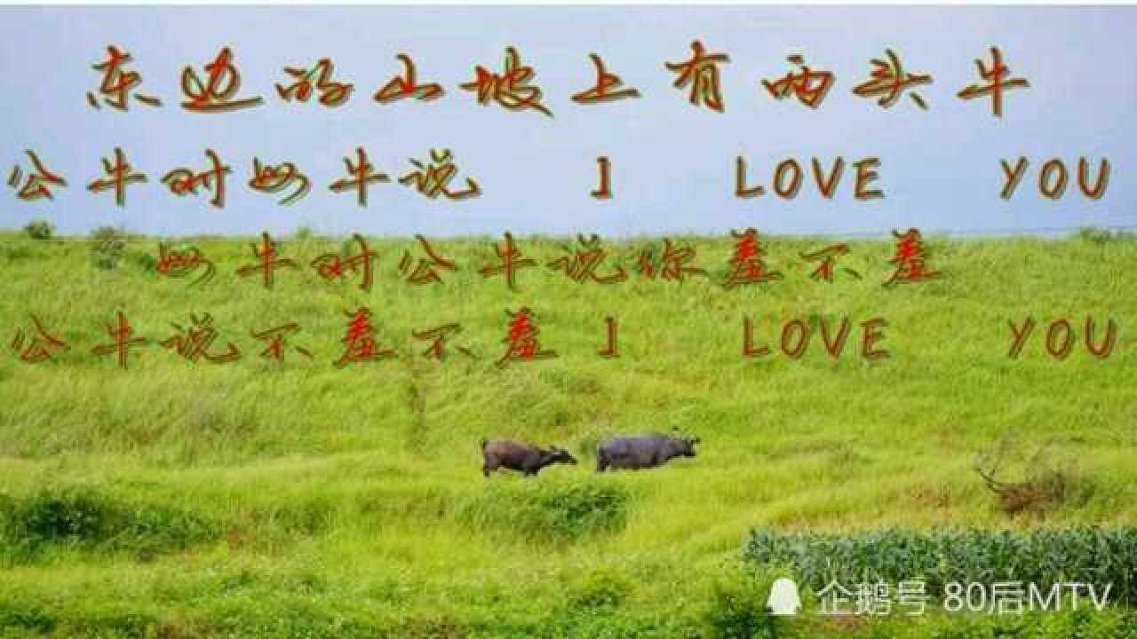 东边山坡上有两头牛_腾讯视频