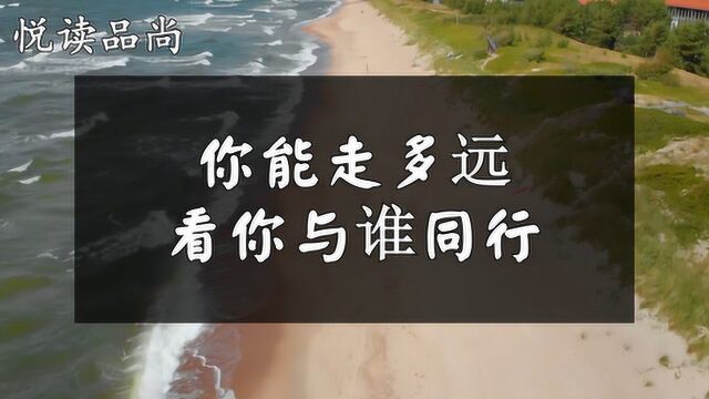 种下梧桐树,引得凤凰来,你能走多远看你与谁同行