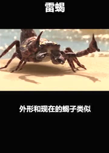 ʷǰ޲Ы44ǰ峤1β̴С