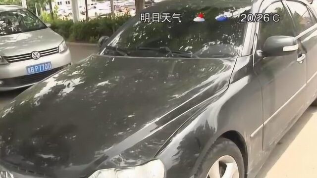 市民买二手车遇麻烦,交钱之后竟过不了户?