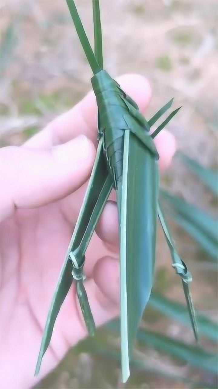 芦苇编织小动物图片