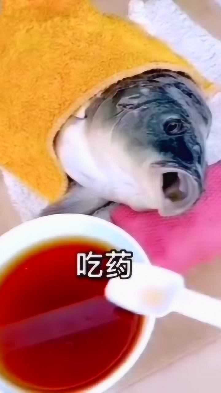 每日搞笑精选鱼这是人干的事吗