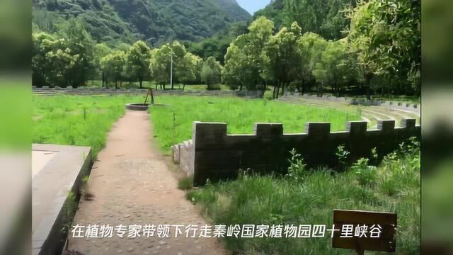 秦岭主题夏令营给孩子一个别样暑假