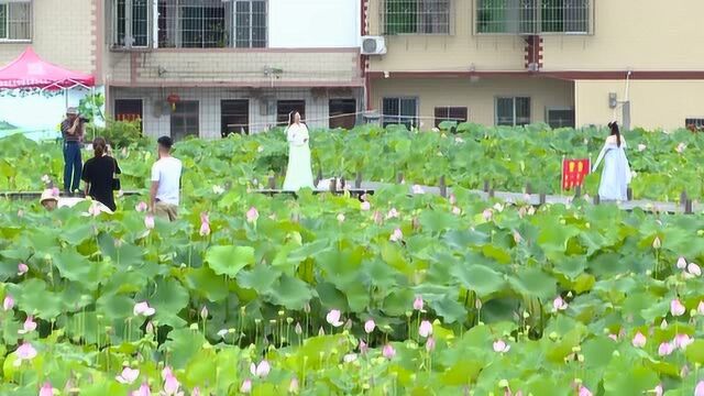 东莞市长安镇党委书记叶孔新到我县开展精准扶贫调研