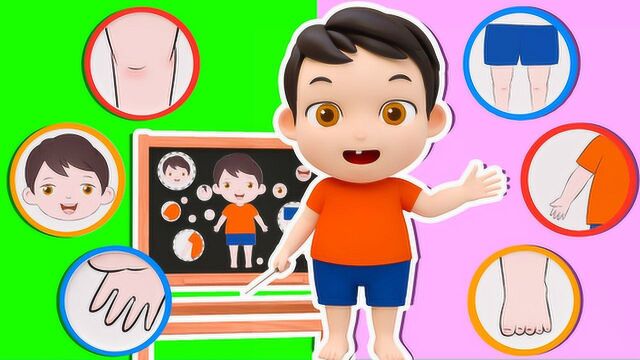 益智宝贝  认识身体部位,早教动画