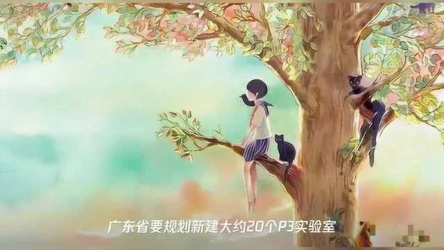 P3实验室建设的背后:需求、成本和热潮 | 【公卫新章】系列报道之二